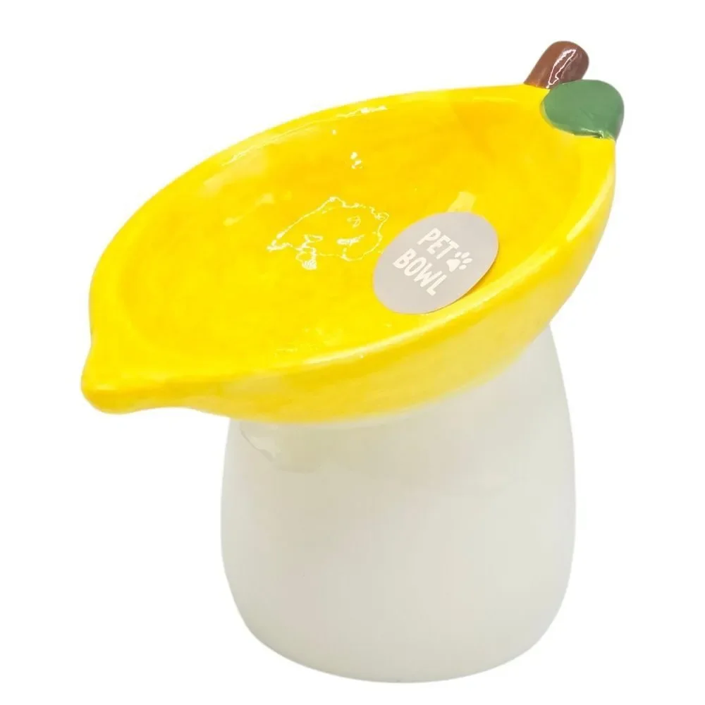 N/A rockybear pet